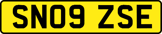 SN09ZSE