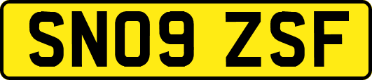 SN09ZSF