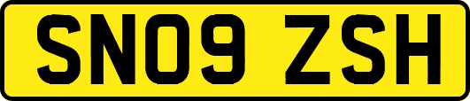 SN09ZSH