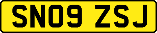SN09ZSJ