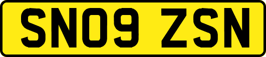 SN09ZSN