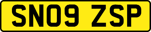 SN09ZSP