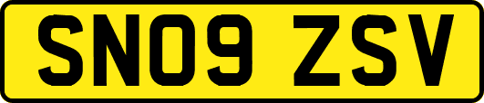 SN09ZSV