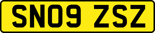 SN09ZSZ