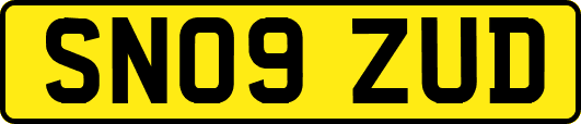 SN09ZUD