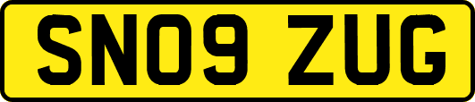 SN09ZUG