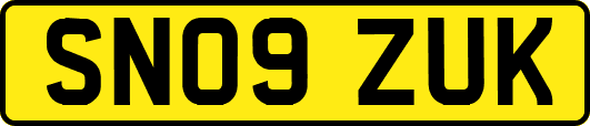 SN09ZUK