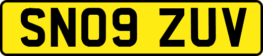 SN09ZUV
