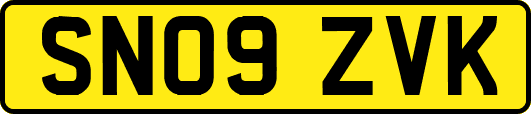 SN09ZVK