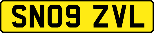 SN09ZVL