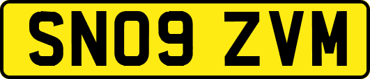 SN09ZVM