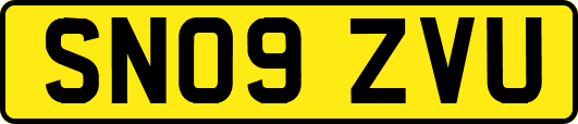 SN09ZVU
