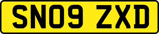 SN09ZXD