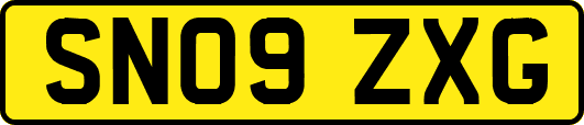 SN09ZXG