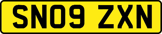 SN09ZXN