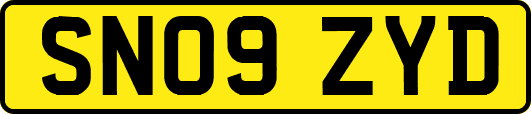 SN09ZYD