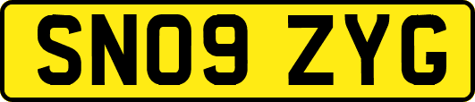 SN09ZYG