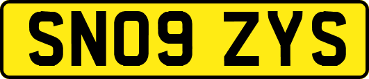SN09ZYS