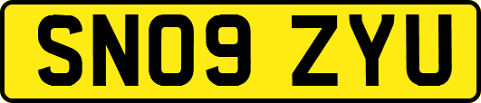 SN09ZYU