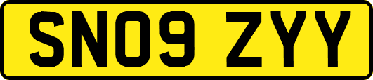 SN09ZYY