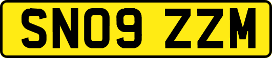 SN09ZZM