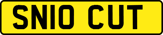 SN10CUT