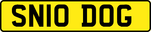 SN10DOG