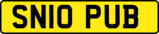 SN10PUB