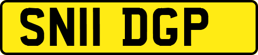 SN11DGP
