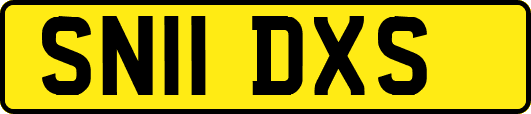 SN11DXS