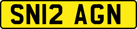 SN12AGN