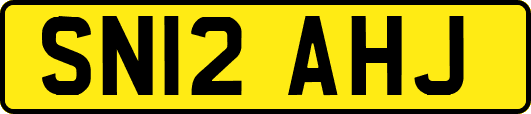 SN12AHJ