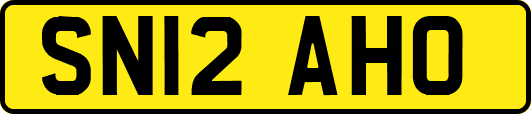 SN12AHO