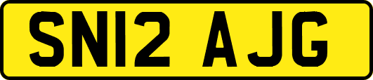 SN12AJG