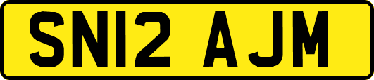 SN12AJM