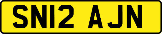 SN12AJN