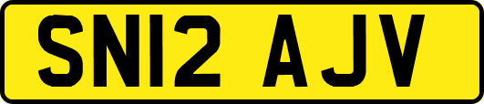 SN12AJV