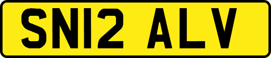 SN12ALV