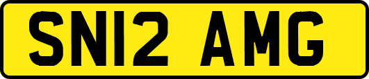 SN12AMG