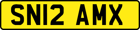 SN12AMX