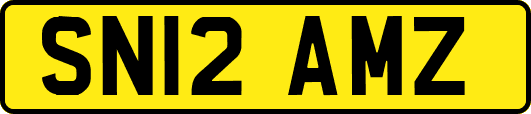 SN12AMZ