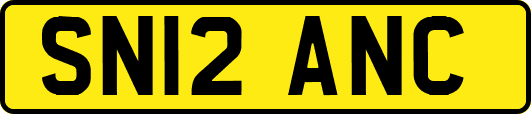 SN12ANC