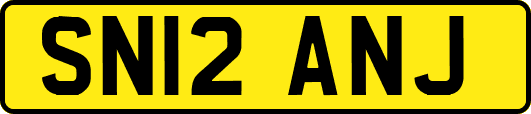 SN12ANJ