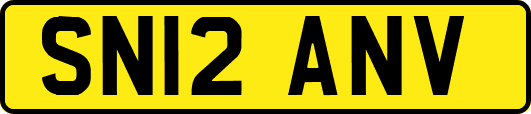 SN12ANV