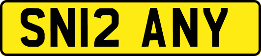 SN12ANY