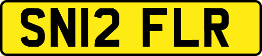 SN12FLR
