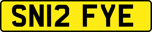 SN12FYE