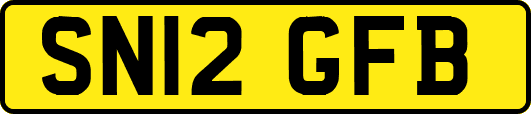 SN12GFB