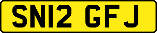 SN12GFJ