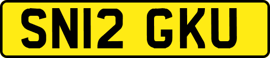 SN12GKU